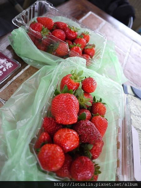 精華濃縮版之 曉確幸+莓圃休閒農場+春川達卡比-春川達卡比 精華濃縮版之 曉確幸+莓圃休閒農場+春川達卡比-春川達卡比