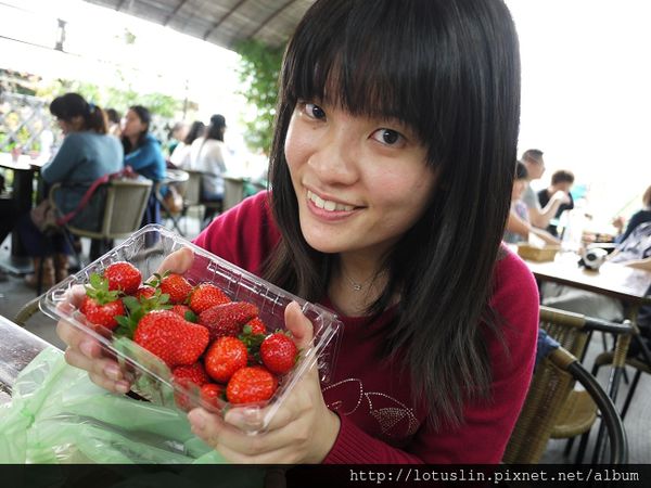 精華濃縮版之 曉確幸+莓圃休閒農場+春川達卡比-春川達卡比 精華濃縮版之 曉確幸+莓圃休閒農場+春川達卡比-春川達卡比