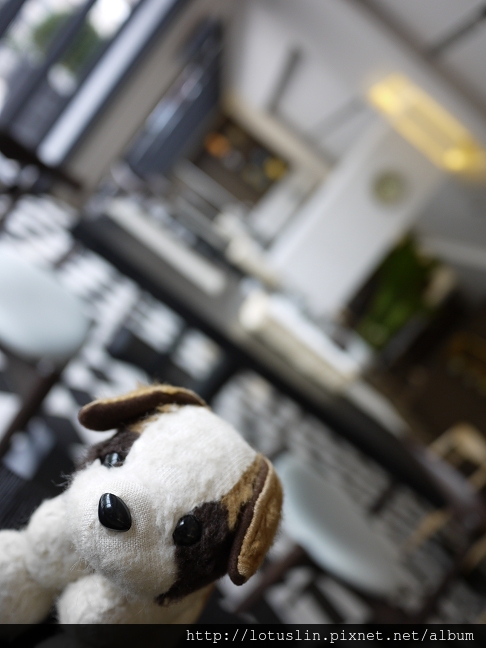 台南 幸福感鑄鐵鍋鬆餅 Caffe Ottanta Nove-Caffe Ottanta Nove