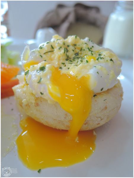 ※ City Mother Brunch ※【星羽愛美食-龍潭】小巧可愛溫馨早午餐，平價好吃，奶油野菇燉飯深得星羽心~。-City Mother Brunch