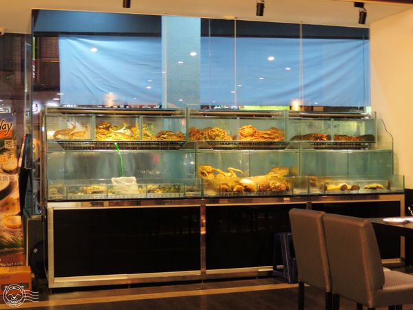 ※ 三次魚屋 ※【星羽愛美食-台中西屯】逢甲外圍全新開幕日本料理-三次魚屋 ※ 三次魚屋 ※【星羽愛美食-台中西屯】逢甲外圍全新開幕日本料理-三次魚屋