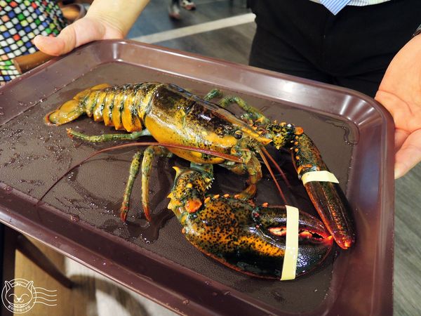 ※ 三次魚屋 ※【星羽愛美食-台中西屯】逢甲外圍全新開幕日本料理-三次魚屋 ※ 三次魚屋 ※【星羽愛美食-台中西屯】逢甲外圍全新開幕日本料理-三次魚屋
