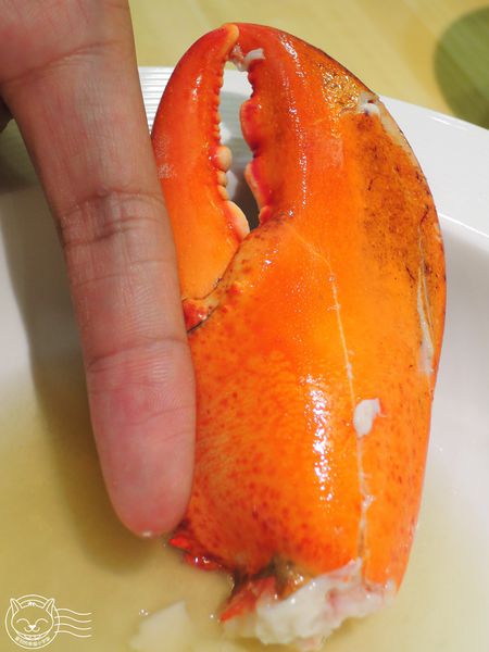 ※ 三次魚屋 ※【星羽愛美食-台中西屯】逢甲外圍全新開幕日本料理-三次魚屋 ※ 三次魚屋 ※【星羽愛美食-台中西屯】逢甲外圍全新開幕日本料理-三次魚屋