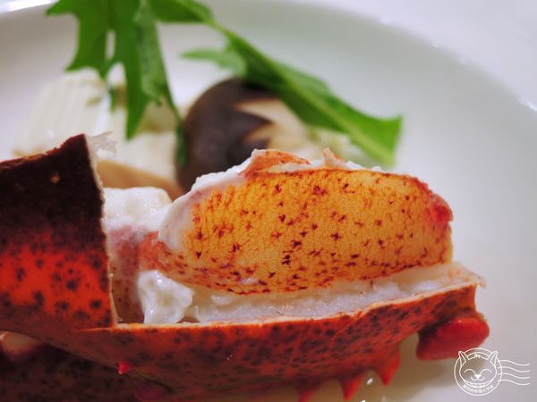※ 三次魚屋 ※【星羽愛美食-台中西屯】逢甲外圍全新開幕日本料理-三次魚屋 ※ 三次魚屋 ※【星羽愛美食-台中西屯】逢甲外圍全新開幕日本料理-三次魚屋