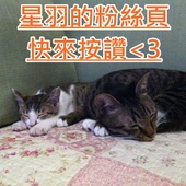 ※ 三次魚屋 ※【星羽愛美食-台中西屯】逢甲外圍全新開幕日本料理-三次魚屋 ※ 三次魚屋 ※【星羽愛美食-台中西屯】逢甲外圍全新開幕日本料理-三次魚屋