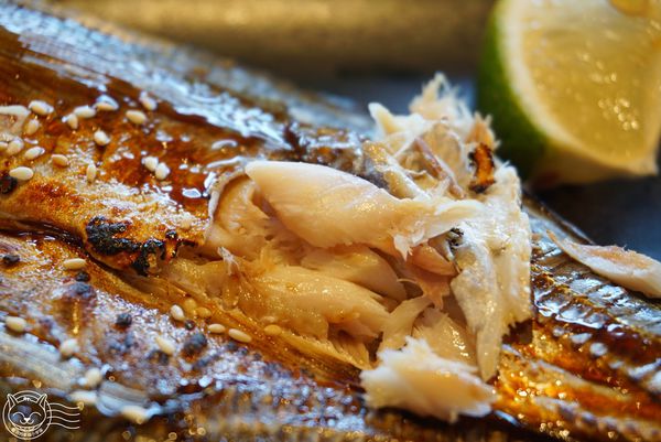 ※ 東海鮮魚道 ※【星羽愛美食-台中南屯】原喜多樂轉型平價丼飯，價格平實鮭魚軟嫩鮮美-東海鮮魚道