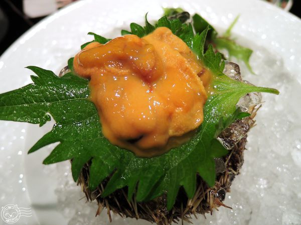 ※ 大漁迴轉壽司 ※【星羽愛美食-台中】日式裝潢彷彿來到日本，餐點不錯吃但CP值不太高-大漁迴轉壽司