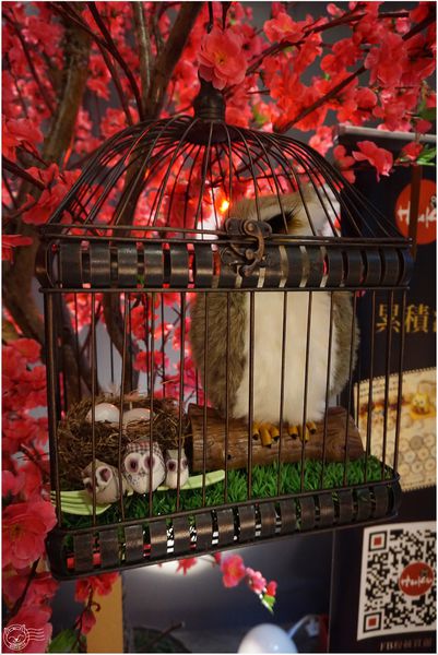 ※ Huku幸福食尚創作料理 ※【星羽是吃貨-台中】「不苦勞」空間幸福氛圍，日西融合創意料理- Huku幸福食尚創作料理
