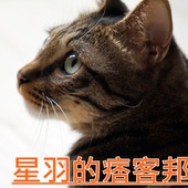 ※ 大心新泰式麵食 ※【星羽愛美食-台中西區】瓦城旗下泰式麵食館-大心新泰式麵食