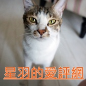 ※ 大心新泰式麵食 ※【星羽愛美食-台中西區】瓦城旗下泰式麵食館-大心新泰式麵食