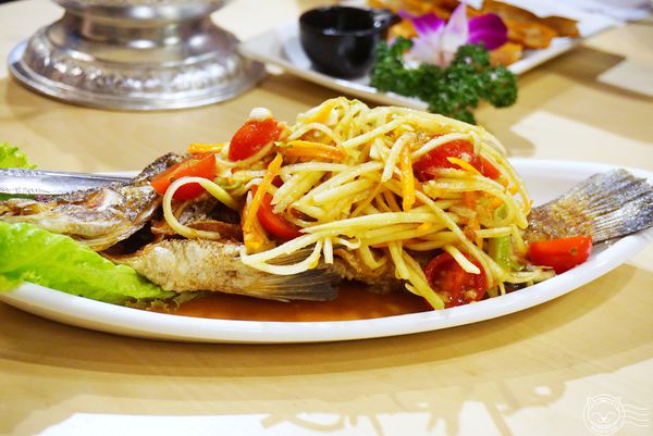 ※ 泰妃堂泰國料理 ※【星羽愛美食-台中西區】中價位美味泰式料理,餐點夠味給料不手軟,破酥包灰熊齁甲!!-泰妃堂泰國料理 ※ 泰妃堂泰國料理 ※【星羽愛美食-台中西區】中價位美味泰式料理,餐點夠味給料不手軟,破酥包灰熊齁甲!!-泰妃堂泰國料理