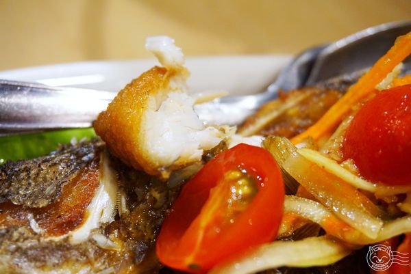 ※ 泰妃堂泰國料理 ※【星羽愛美食-台中西區】中價位美味泰式料理,餐點夠味給料不手軟,破酥包灰熊齁甲!!-泰妃堂泰國料理 ※ 泰妃堂泰國料理 ※【星羽愛美食-台中西區】中價位美味泰式料理,餐點夠味給料不手軟,破酥包灰熊齁甲!!-泰妃堂泰國料理