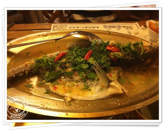 ※ 泰緬阿嬤吃ㄟ乾媽店 ※【星羽愛美食-台中】燈光美氣氛佳,打卡摩摩喳喳超大方的泰式料理~-泰緬阿嬤吃ㄟ乾媽店 ※ 泰緬阿嬤吃ㄟ乾媽店 ※【星羽愛美食-台中】燈光美氣氛佳,打卡摩摩喳喳超大方的泰式料理~-泰緬阿嬤吃ㄟ乾媽店