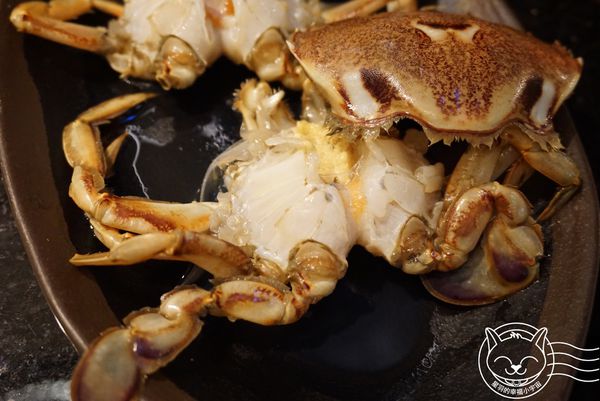 ※ 和稻鍋物 ※【星羽是吃貨-台中】中高價火鍋套餐式吃到飽-和稻鍋物 ※ 和稻鍋物 ※【星羽是吃貨-台中】中高價火鍋套餐式吃到飽-和稻鍋物