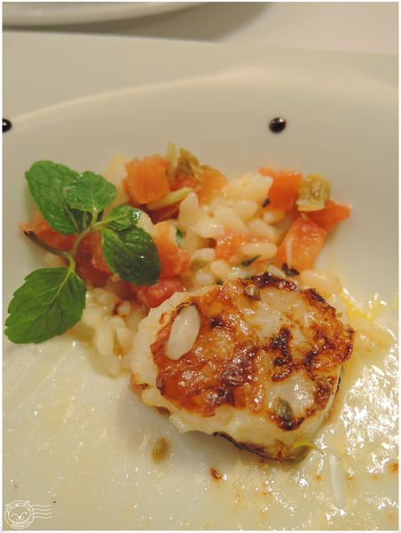 ※ 法森小館 ※【星羽愛美食-台中】高價位精緻歐法料理，鴨肝菲力牛排好好吃-法森小館