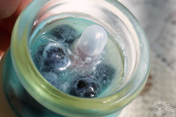 ※ Siblings House 西菲斯法式精品甜點 ※【星羽是吃貨-宅配】低調優雅時尚甜點-Siblings House