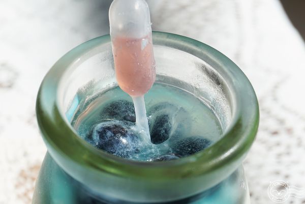 ※ Siblings House 西菲斯法式精品甜點 ※【星羽是吃貨-宅配】低調優雅時尚甜點-Siblings House