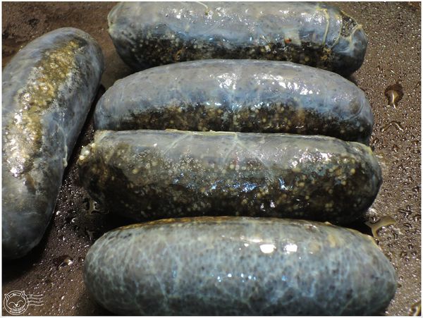 ※ 天源珍饌美食天堂 ※【星羽是吃貨-宅配】黑嚕嚕逼逼啵啵飛魚卵墨魚香腸，香香好吃黃金米~-天源珍饌美食天堂
