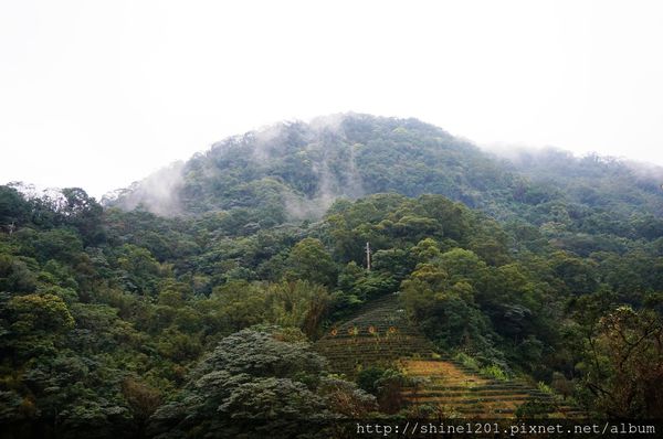 【貓空泡茶】邀月茶坊24小時優質景觀茶餐廳.台北旅遊美食-邀月茶坊