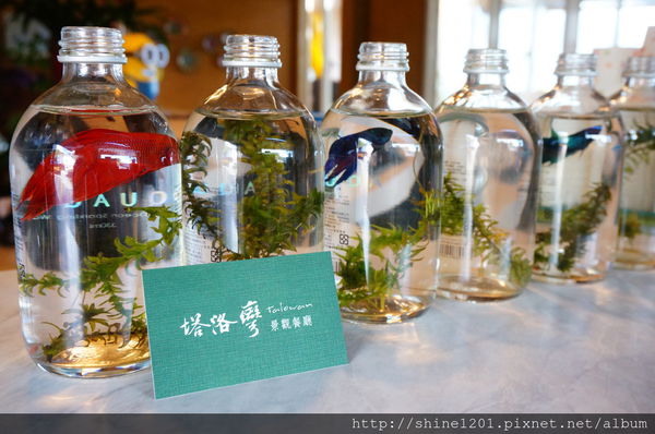 【南投霧社清境景觀餐廳】塔洛灣景觀餐廳 甕仔雞/鱒魚料理-塔洛灣景觀餐廳 【南投霧社清境景觀餐廳】塔洛灣景觀餐廳 甕仔雞/鱒魚料理-塔洛灣景觀餐廳