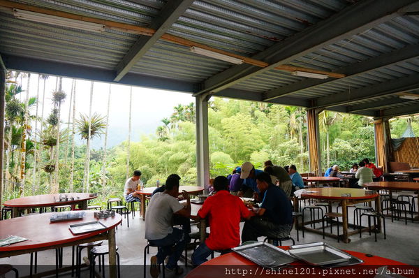 【南投溪頭竹筒飯】天鵝湖茶花園竹筒套餐  溪頭特色餐廳-天鵝湖茶花園竹筒套餐