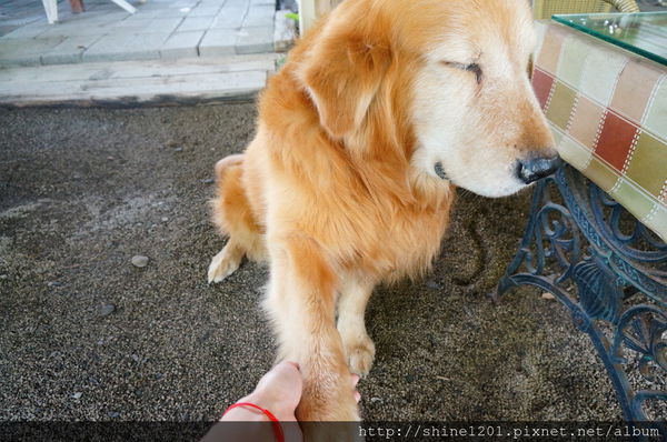 【南投集集特色餐廳】漂流木花園庭園餐廳-漂流木花園庭園餐廳 【南投集集特色餐廳】漂流木花園庭園餐廳-漂流木花園庭園餐廳