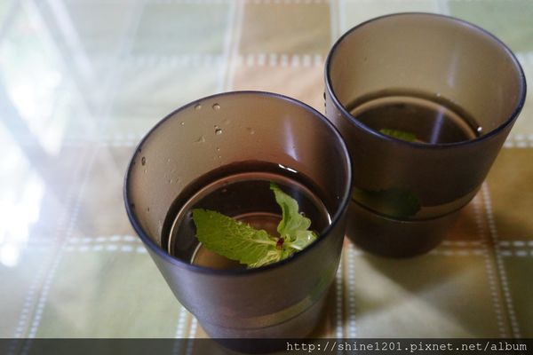  【南投集集特色餐廳】漂流木花園庭園餐廳-漂流木花園庭園餐廳