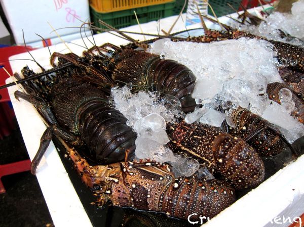 【基隆美食推薦】朱添鮮魚號 凌晨三點營業的新鮮現切生魚片 入口鮮甜 可是又是邊吃邊想睡呀！！-朱添鮮魚號