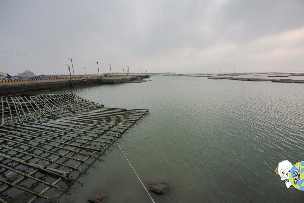 嘉義東石在地美食Ｘ樺榮海鮮餐廳(選用在地、本土食材製作美味海鮮料理！)