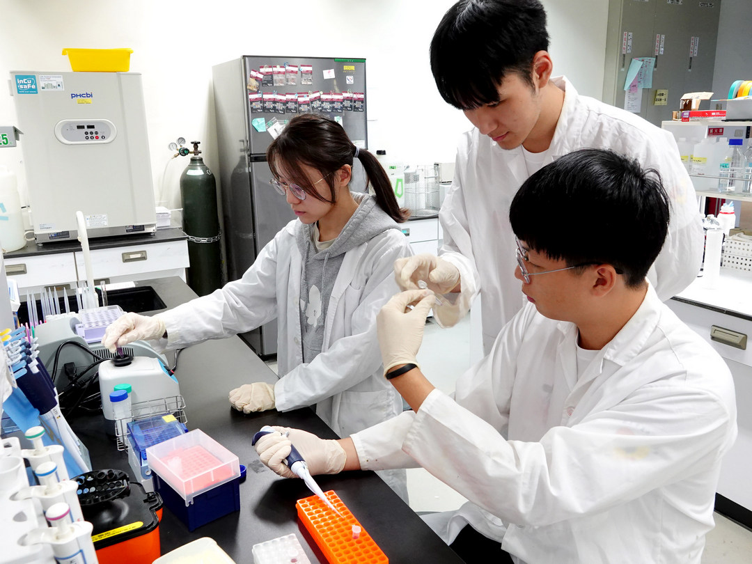 30秒快速偵測登革熱　中正大學學生研發新型病毒檢測試劑-iGEM競賽