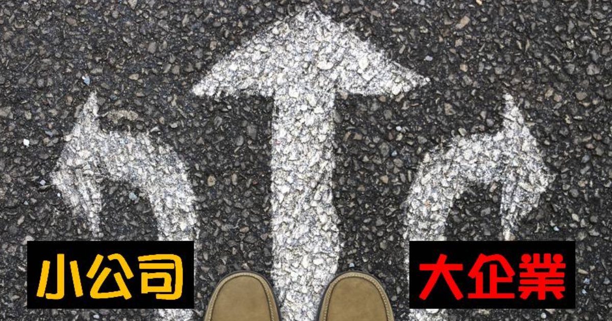 【人資TALK】大公司怪人怪事多？6點觀察：HR在大、小公司的優劣-HR