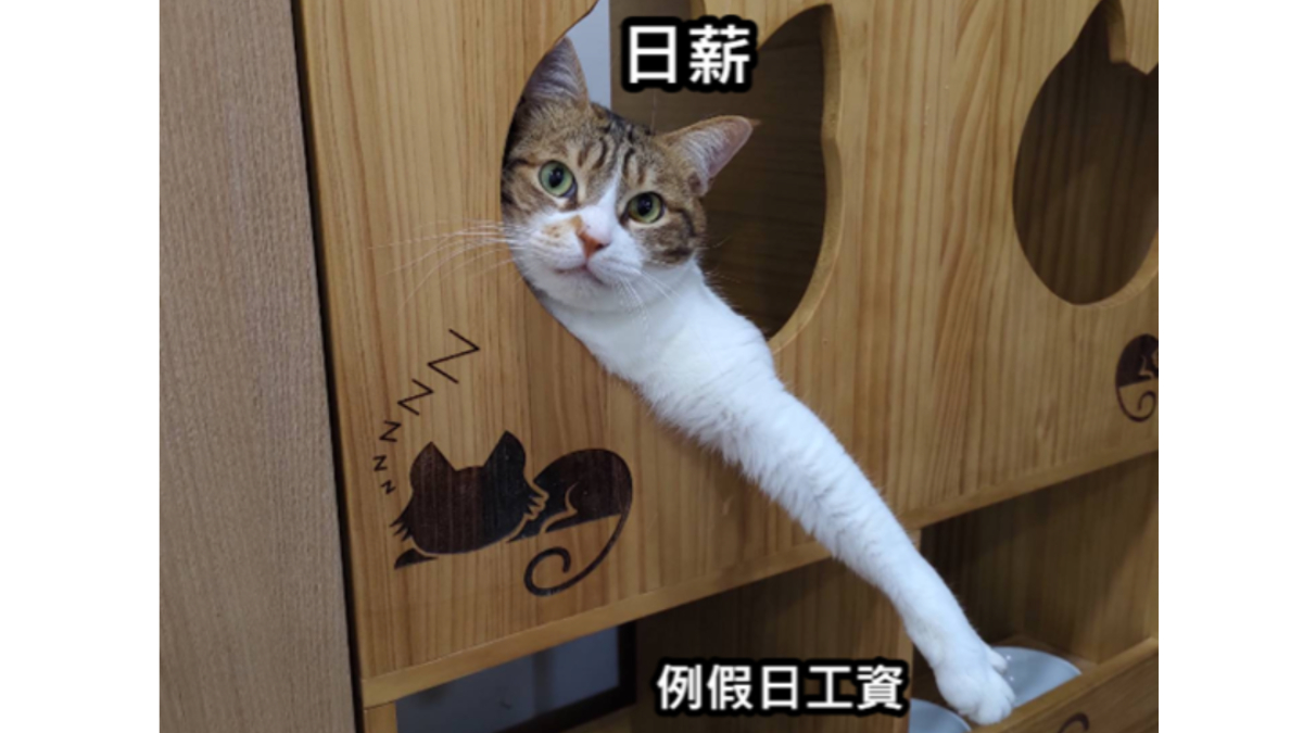 我是以日計薪的揮汗工人，老闆可以不給我例假日工資嗎？-HR