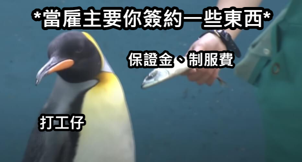 打工.雇主.保證金.制服費.工資
