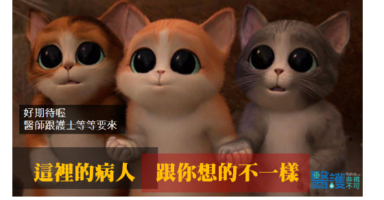 精神科居家護理師田野筆記（上）-享受個案帶給我的感動 -求才特輯