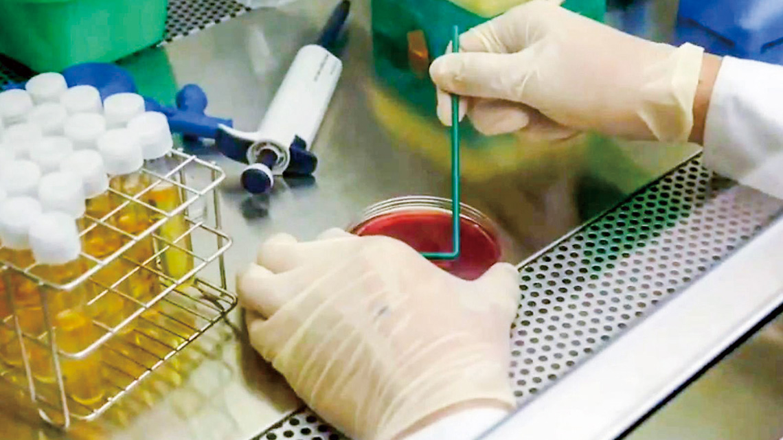 【展晨生技】天然保健產品專利認證 照顧您的健康【幸福企業大賞｜行銷策略類｜第二期】-行銷策略