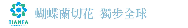 【天發生物】蝴蝶蘭切花 獨步全球【幸福企業大賞｜其他類｜第一期】- 企業福利