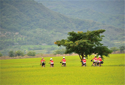 諾瓦中小學暨附設幼兒園 員旅遠赴歐美逾10天假期-企業特寫