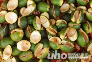 護理師勸說成功　他戒了40年檳榔癮-焦點人物