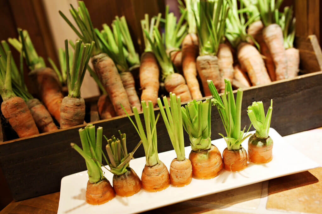 【高雄】宛如走進童話世界．瑞彼特早午餐．桑尼瘦不了