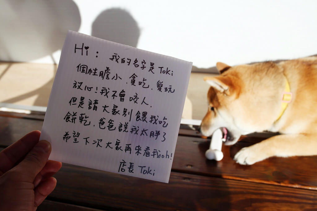 【高雄】Bon Picnic小野餐│柴犬Toki的手工冰淇淋│駁二吃冰．桑尼瘦不了