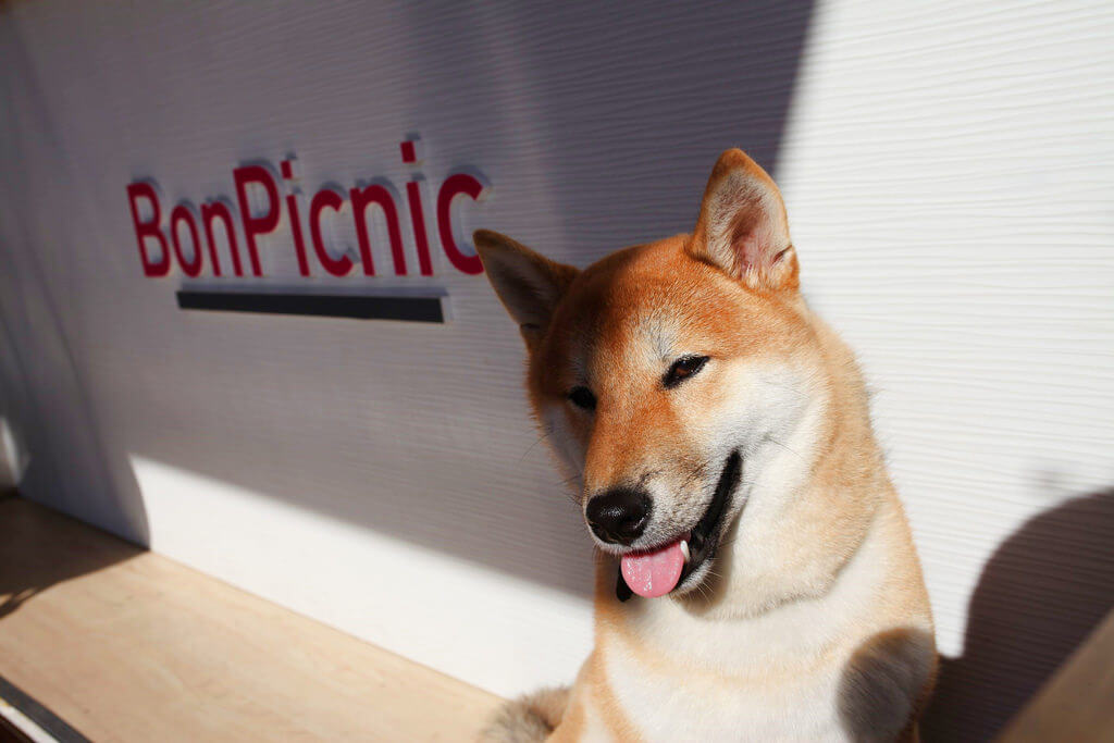 【高雄】Bon Picnic小野餐│柴犬Toki的手工冰淇淋│駁二吃冰．桑尼瘦不了