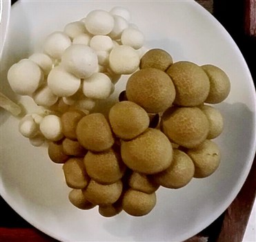 食譜【薑雞湯(將軍湯)】 ，品嚐幸福的滋味！-食譜\
