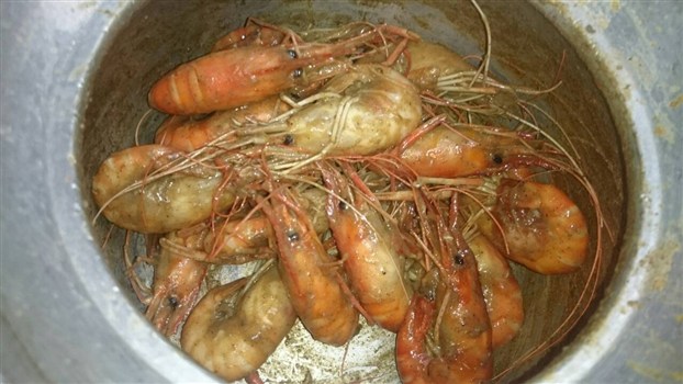 食譜【香Q嗆辣胡椒蝦】，香,Q,嗆辣！-胡椒蝦