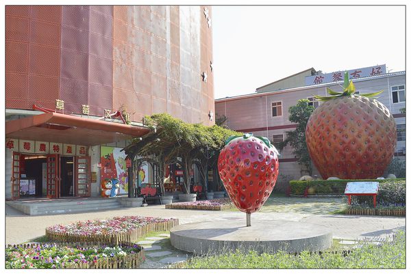 大湖酒莊草莓文化館