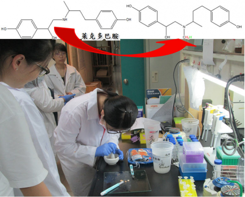 高醫大生技系創新深耕提前部署 培育跨域人才改善人類未來-生技