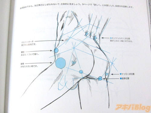 掌握青椒 就能畫出完美男尻 交大專區