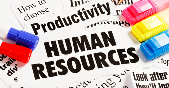 人力(manpower)是工作组织於「投入—转化—产出」运作