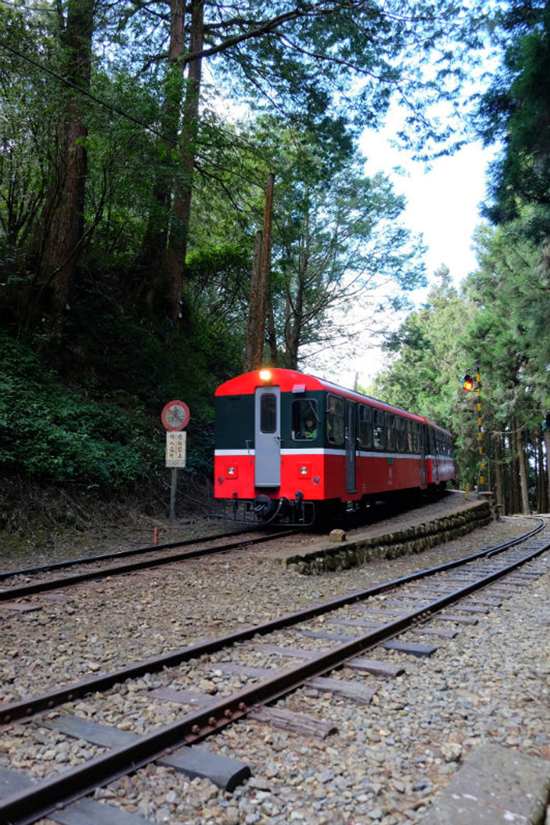 图说:阿里山森林铁路小火车穿梭森林间,也是铁道迷们争相捕捉的美景之