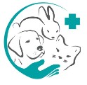大新動物醫院