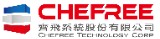 齊飛系統股份有限公司